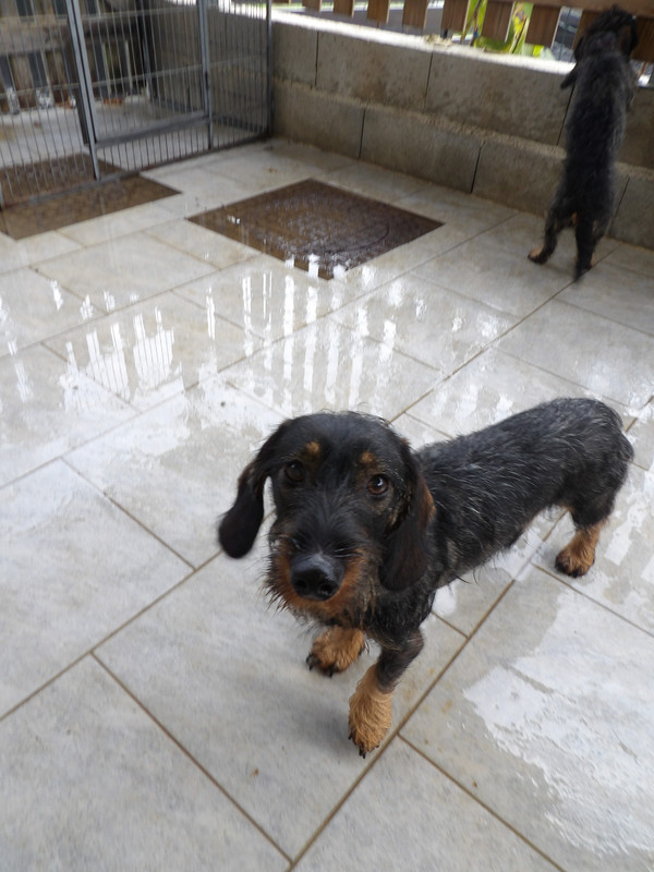 [Image: 125-0373.jpg]