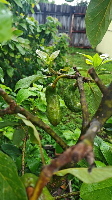 IMG_20250925_154712648