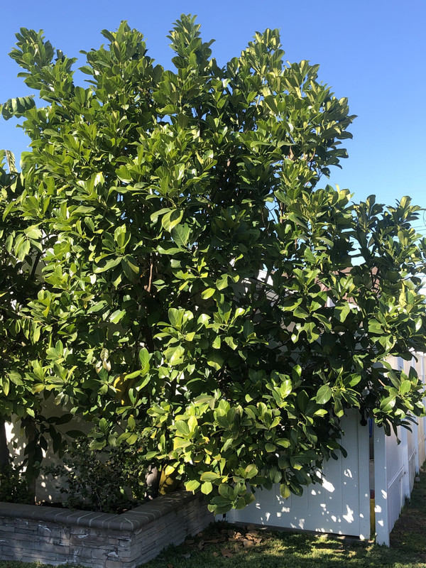 790CA5E8-AAB0-4E32-B373-C542713ED004