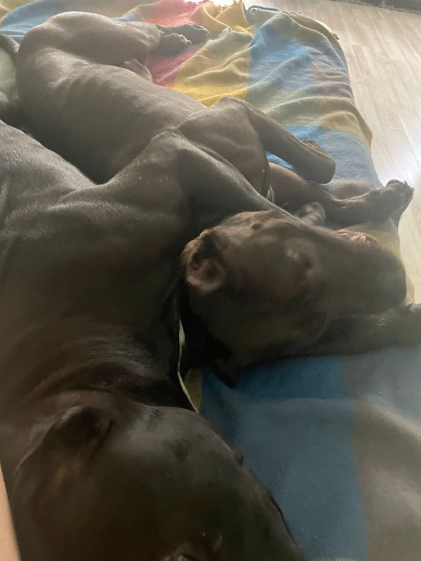 65EEF377-20C8-463C-A032-24400D60164A