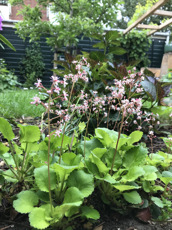 E5BF54E0-DF00-4CB1-86ED-91876FFFC1FC