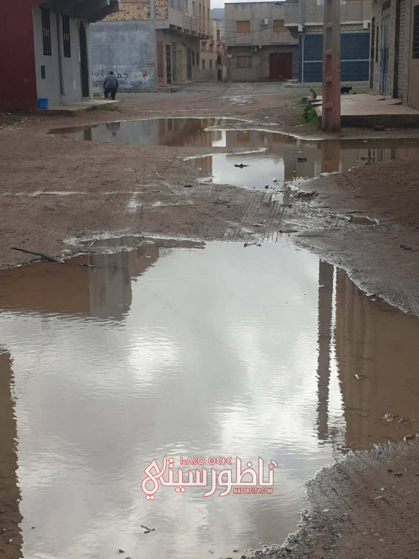 53806475-199f-4bda-90c9-592029f30614