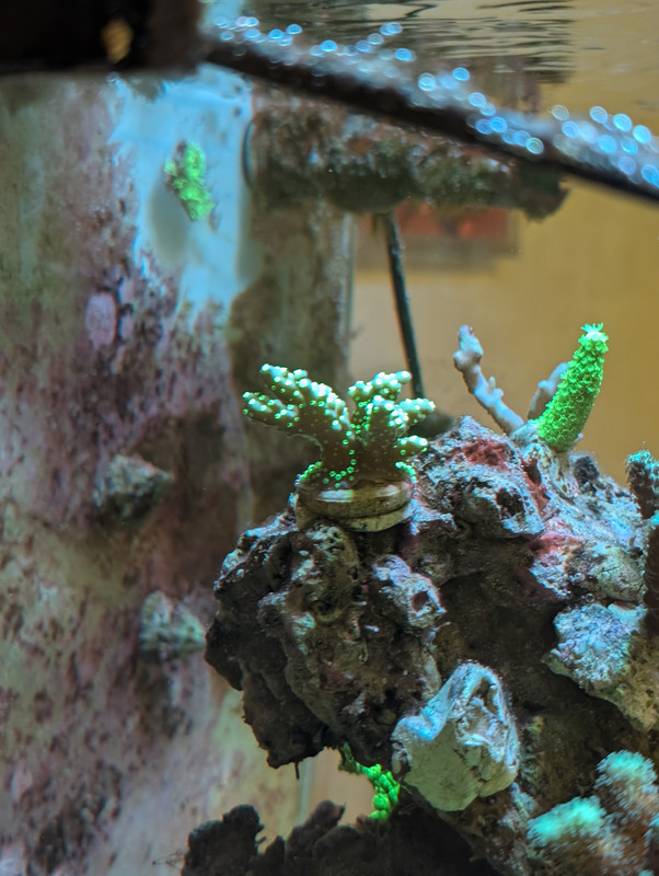 PXL 20260226 201624961 MP