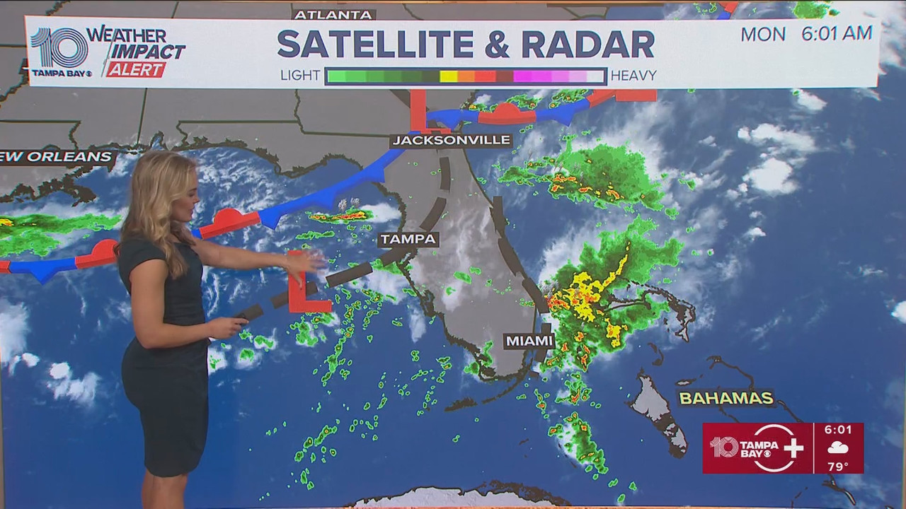 10 Tampa Bay News This Morning at 600 a.m_20250908_11001200.ts_snapshot_02.29.199