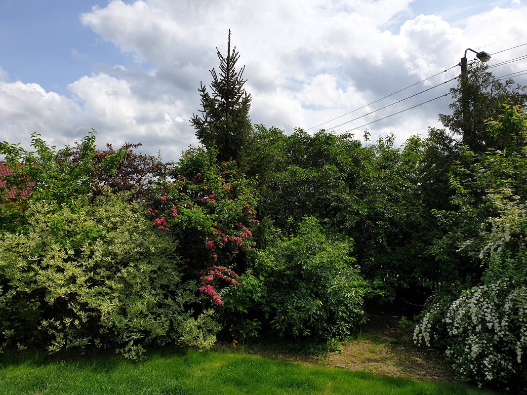2019-05-18-12-55-23.jpg