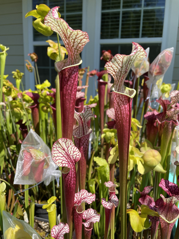 3E2C2A95-E28C-44B5-A207-8298DC79A699