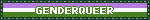 genderqueer