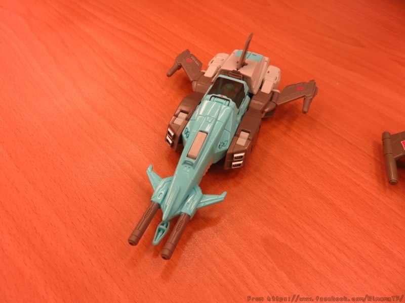 13239065_272534596430308_8957784400879506034_n