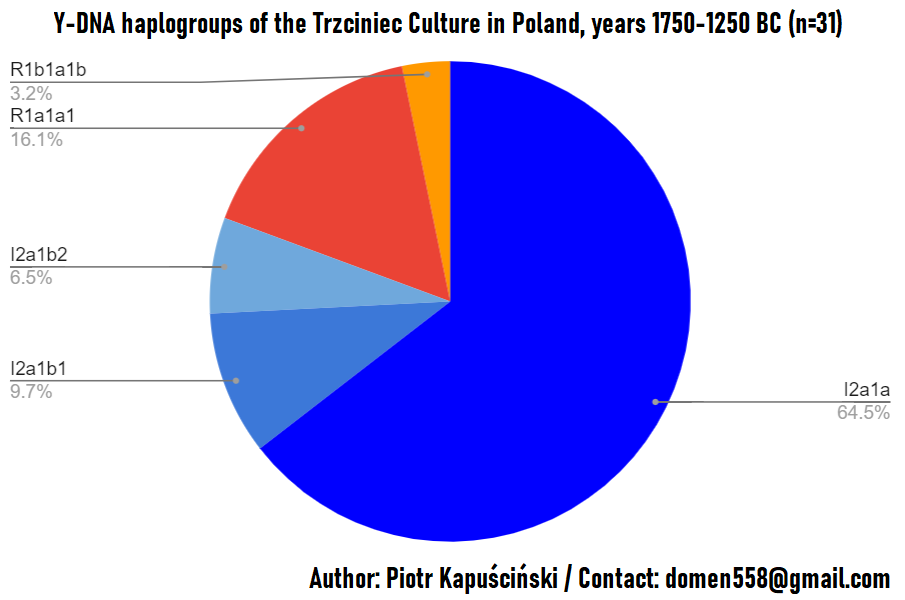 3-YDNA-PL-Trzciniec.png