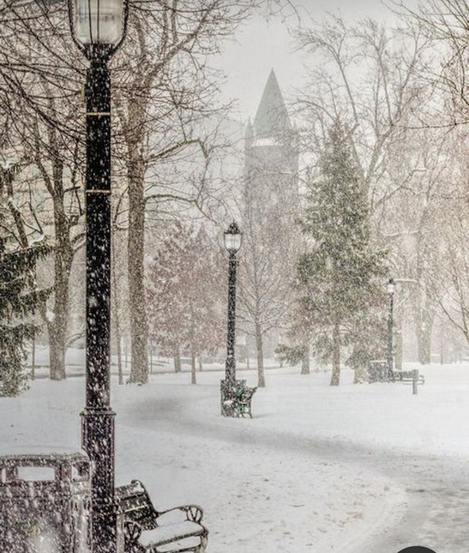 Screenshot_20230228_231029_Pinterest