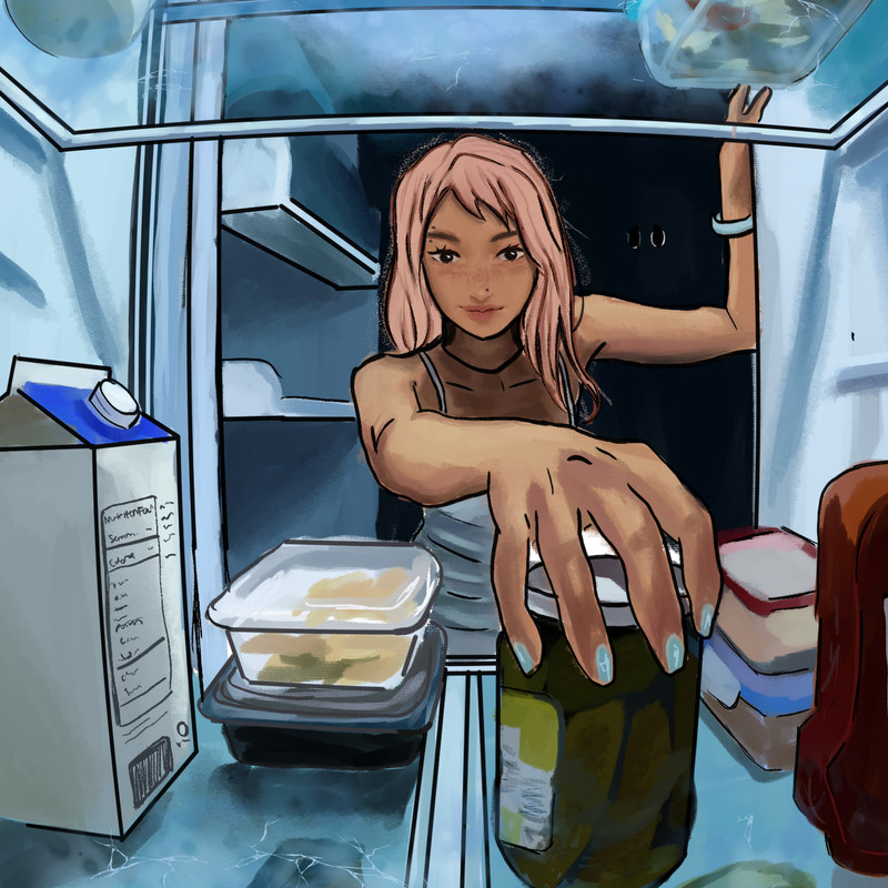 Fridge