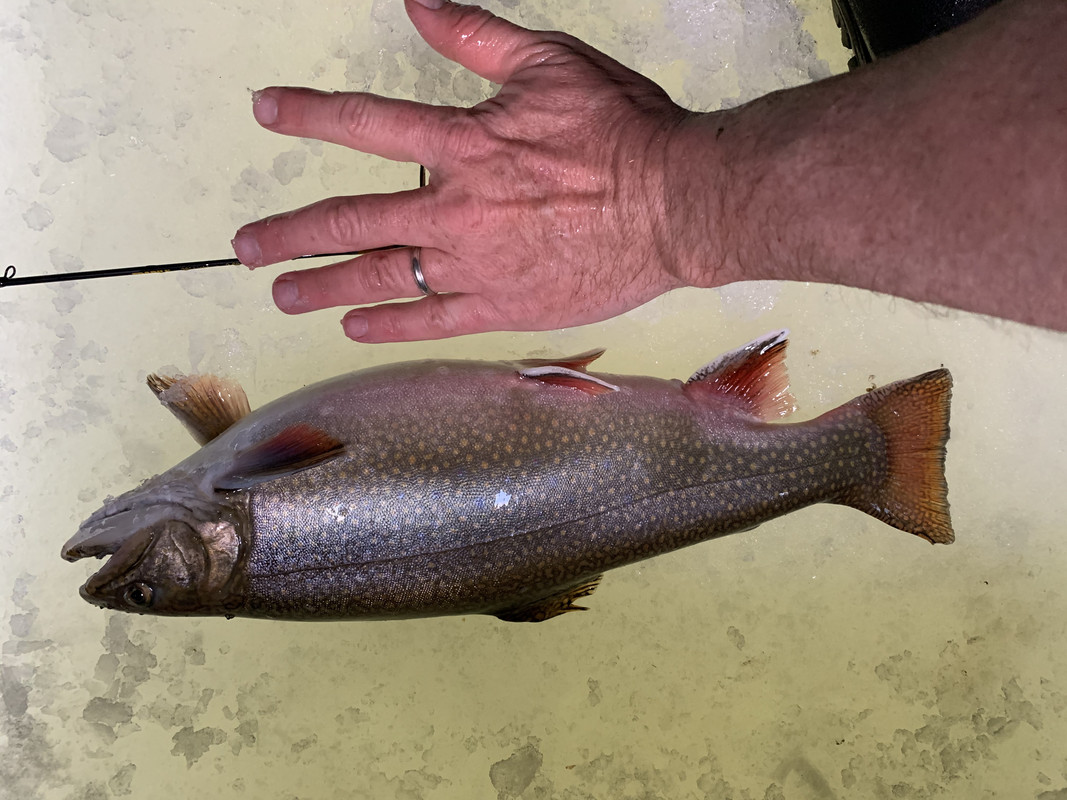 22D58A2B-0BB5-4C14-B884-6D9E536185D6