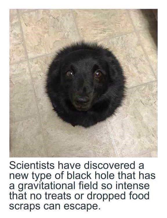 [Image: Black-Hole-meme.png]