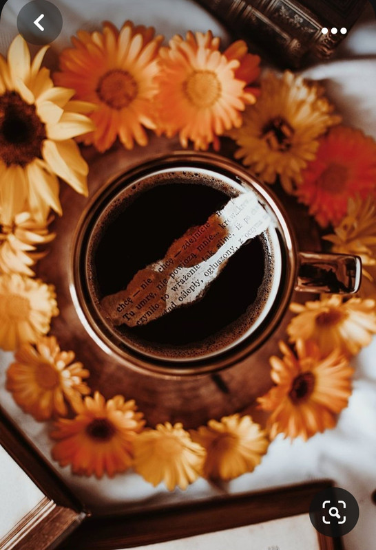 Screenshot_20230923_173220_Pinterest