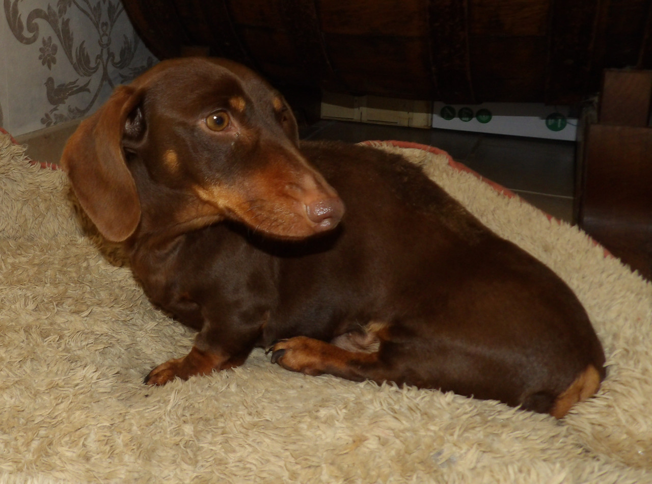 [Image: 125-0708.jpg]