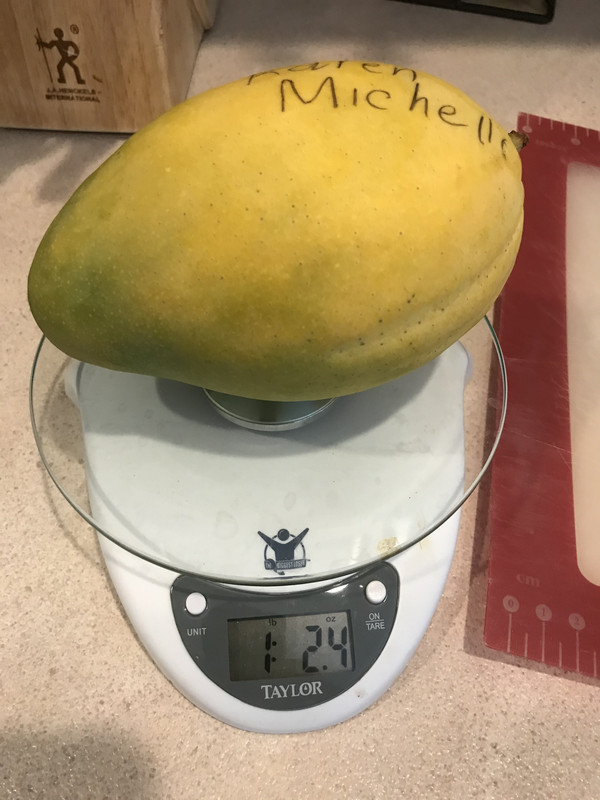 FD5F79EA-0608-4AA2-A19E-9835ADDD5A69