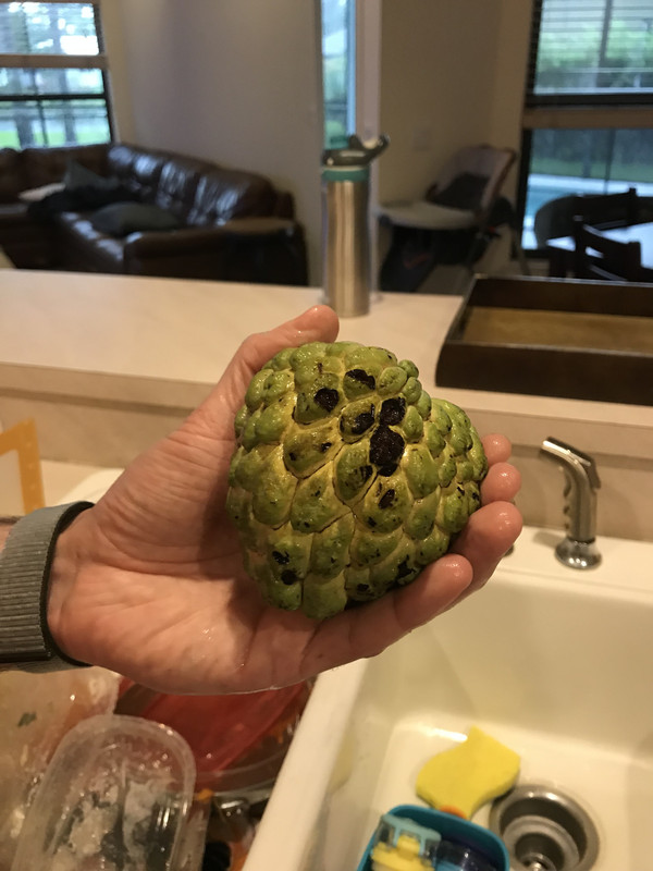 255974F9-8672-4926-9244-3CABAFC01A1E