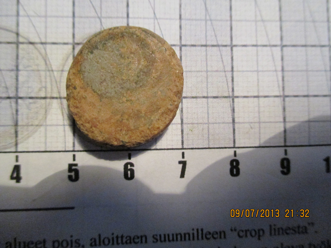 kivi 002
