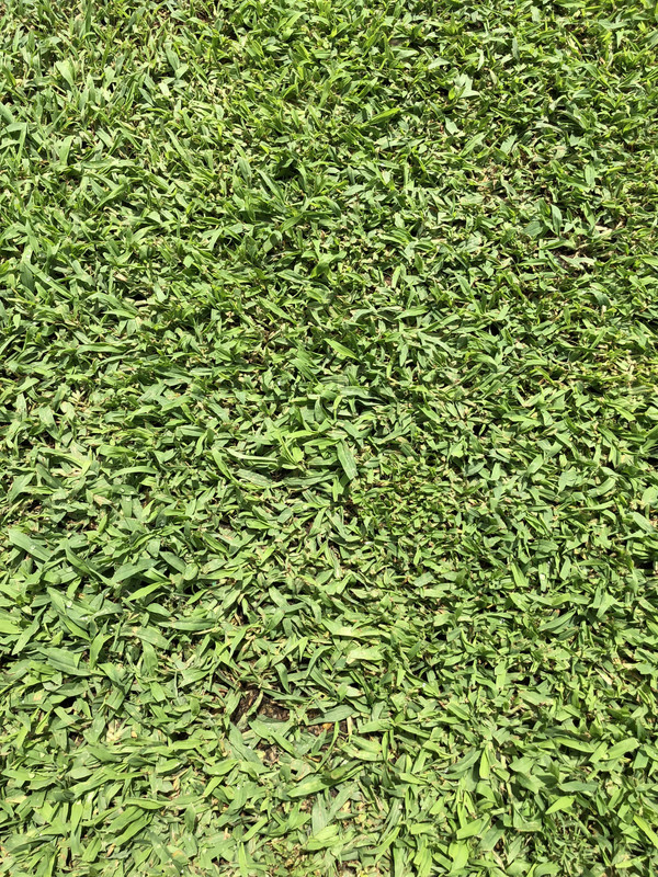 BA553A51-E9B8-482D-9F5A-BABDCF85B018