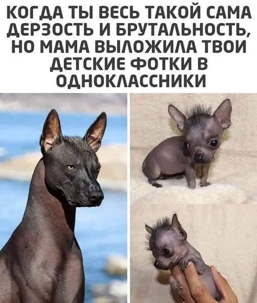 [Изображение: a37ddab955fdaaff967810cefc0a7dc1.jpg]