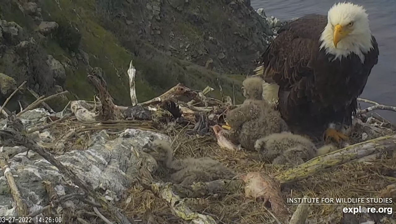 E30A4209-6947-4BE1-AE90-0760099CB5A2