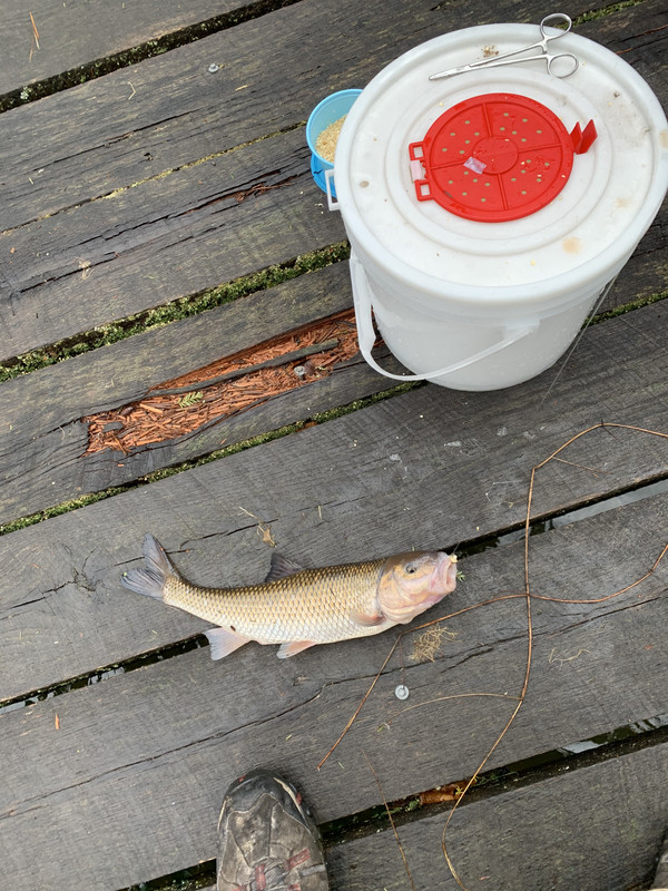 15A98714-F66F-4013-B3AD-9C7A70CCAAB2