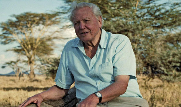 [Image: david-attenborough-373919.jpg]