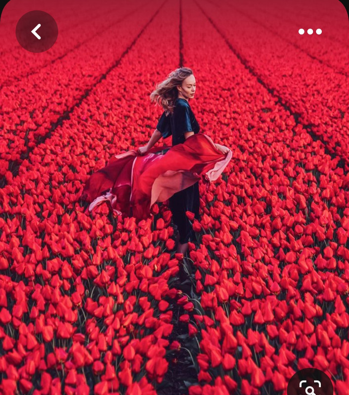 Screenshot_20230805_213407_Pinterest