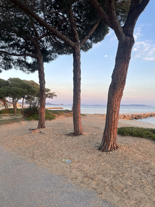 0558FF04-DA28-43A7-83C4-90961428DC77