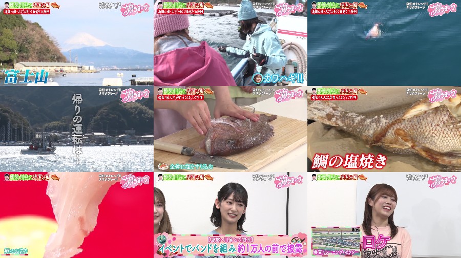 240314-Sakura-t-S01-E44 【バラエティ番組】240314 サクラミーツ (Sakura Meets) ep44