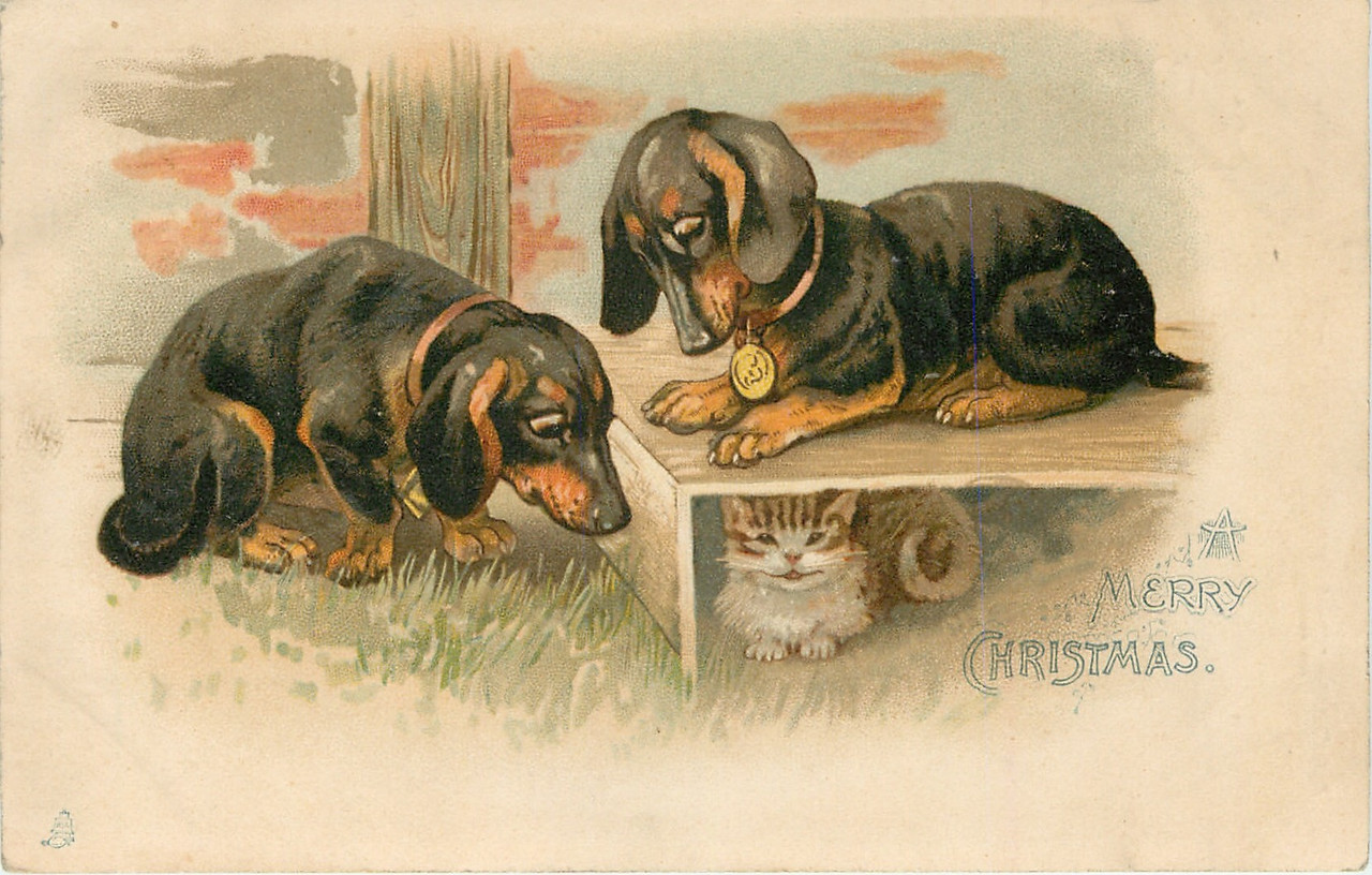 43-2011-12-10-13-27-40