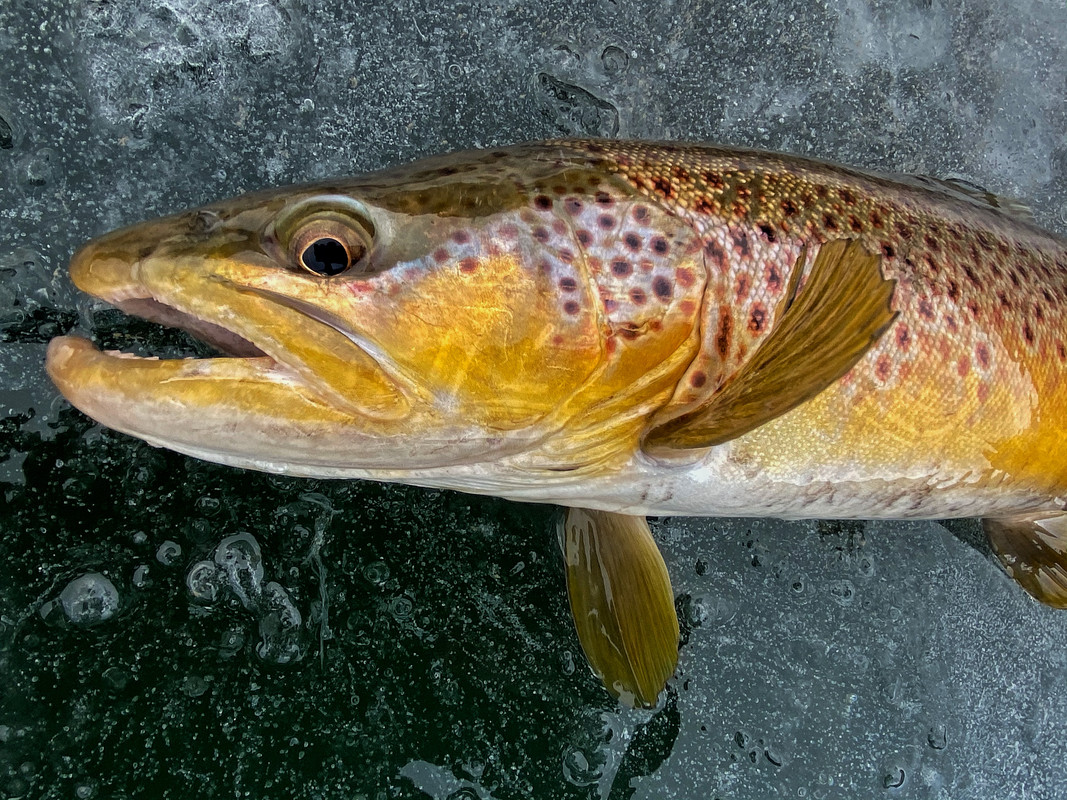 2B5D41D5-D0B6-467C-B8A4-8463C988C22F