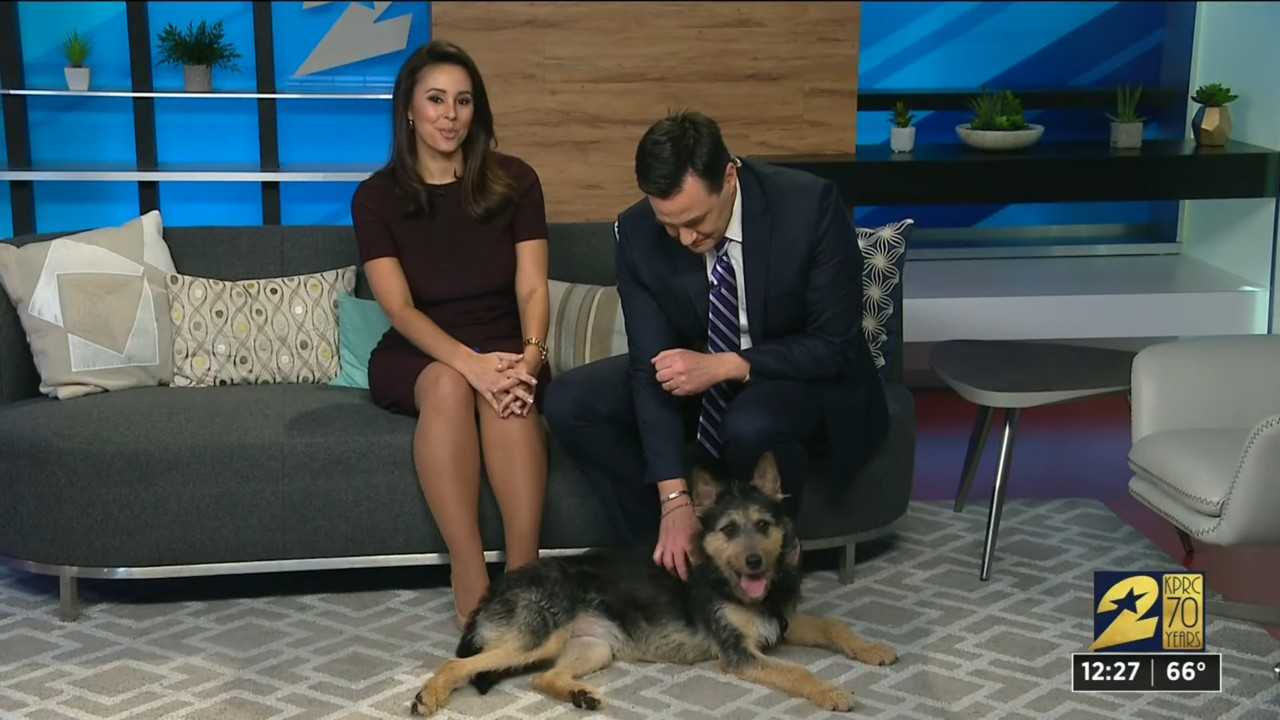 TW-191227- 015