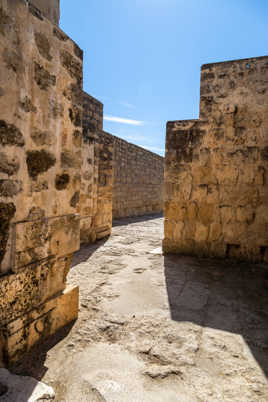 IMG_1705 (FILEminimizer)