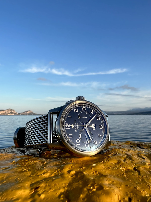 1C601BD8-C4C6-42E1-9292-540662C47138