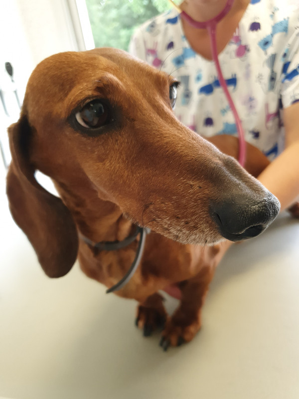 [Image: 20220616-183802.jpg]