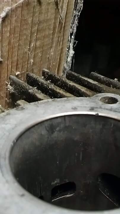 received_1976544982564509