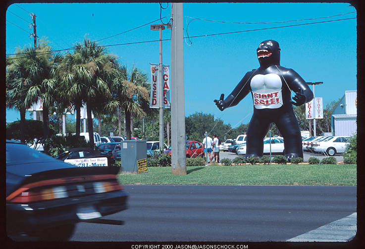 Florida: land of horrors.
