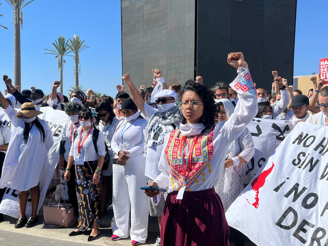 Activistas piden excluir de la COP27 a empresarios productores de hidrocarburos 