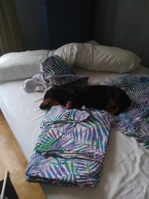 [Image: FaireLit.jpg]