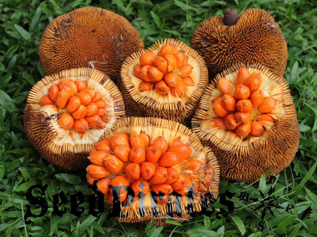 C9FDEE2F-EBEC-40B1-AACB-7B339EA60F81