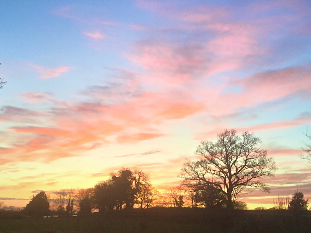 CCB14C95-4044-4864-8AB9-E2E80B9458AF