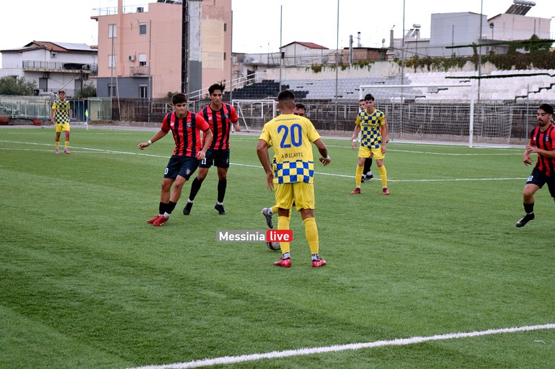 Thouria-DSC-0239