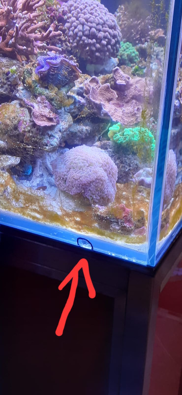 WhatsApp Image 2022-07-01 at 08.38.38 (1)