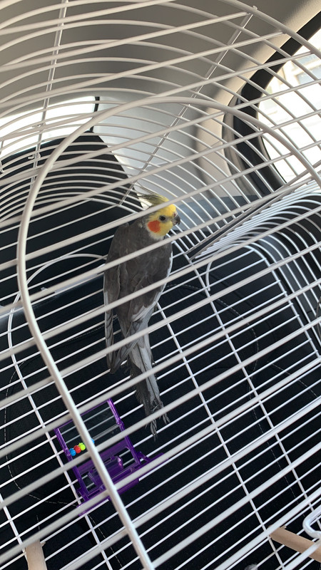 B54302DC-F6C7-4E8A-82AE-C35382447E73