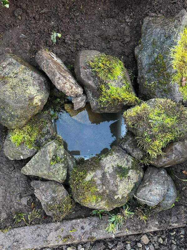 WhatsApp Image 2023-11-18 at 5.02.09 PM (1)