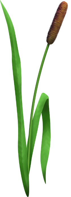 Into The Jungle (119)