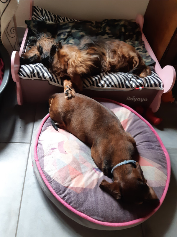 [Image: 20210605-162529.jpg]