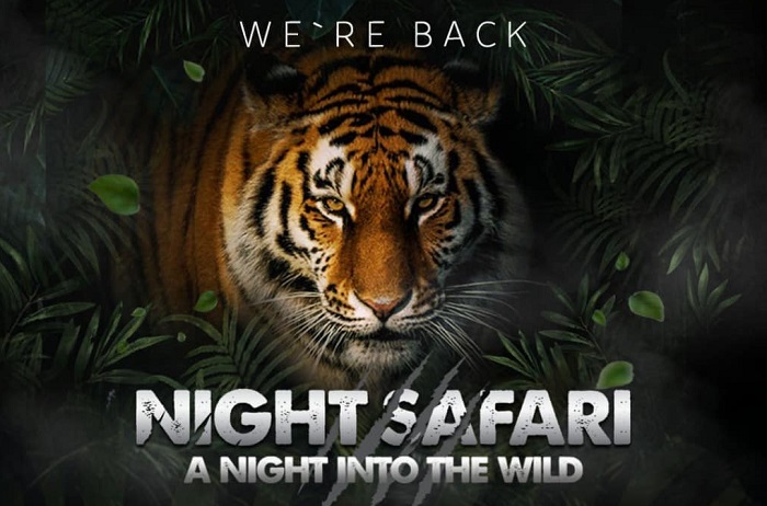 Bali Safari Park menghadirkan kembali wahana Night Safari bertajuk 'A Night Into the Wild'.