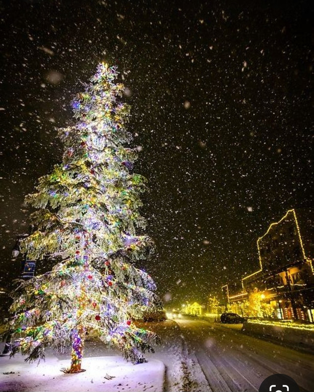 Screenshot_20231102_133935_Pinterest